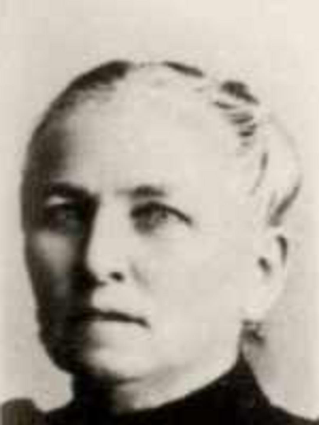 Susanna Olivia Young (1847 - 1929) Profile